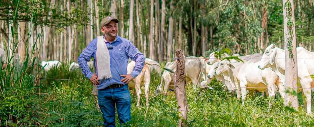 Árboles integrados a potreros para producción de carne carbono neutro en el Cesar