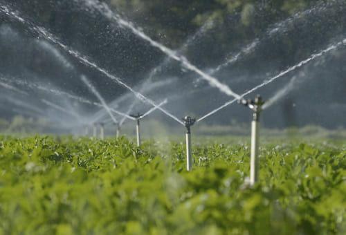 Sistemas de riego fortalecen proyectos agrícolas en Codazzi