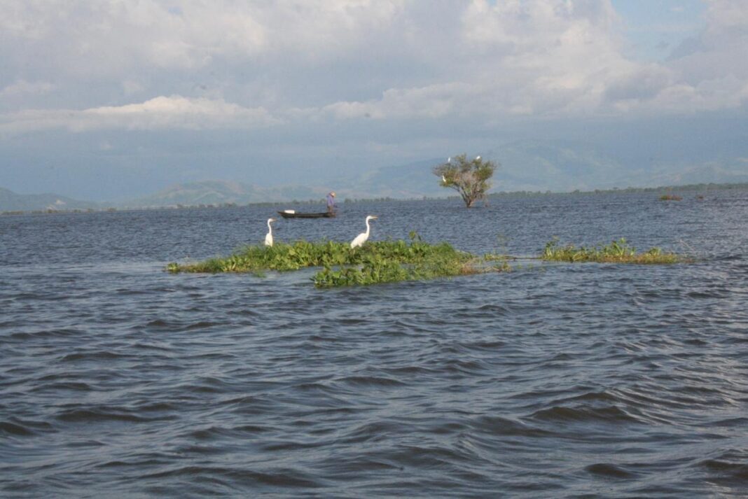 Ciénaga de Zapatosa destino de turismo ecológico en el Cesar