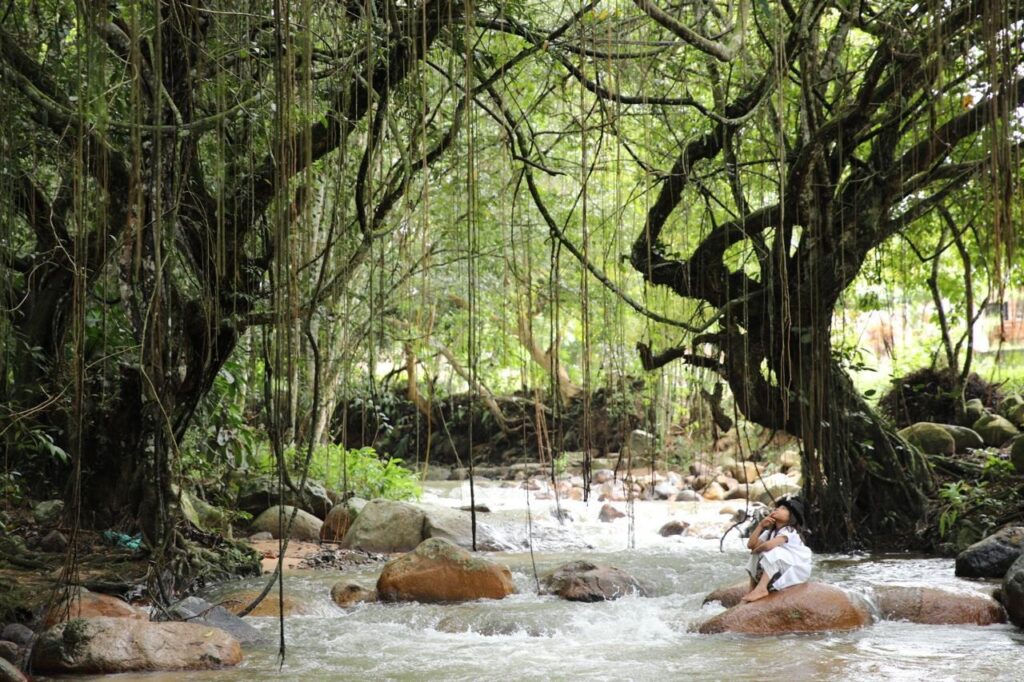 Río y turismo comunitario indígena en Pueblo Bello como experiencia sostenible.