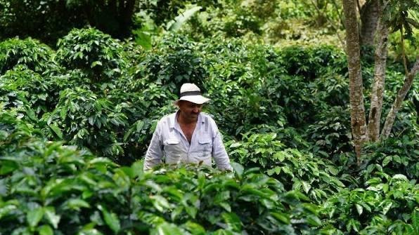 Pobreza rural en Manaure y trabajo agrícola en veredas.