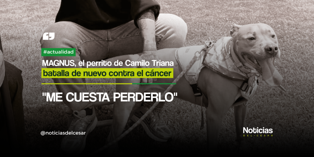 Camilo Triana y su perro Magnus en el jardín, noticia sobre su batalla contra el cáncer.