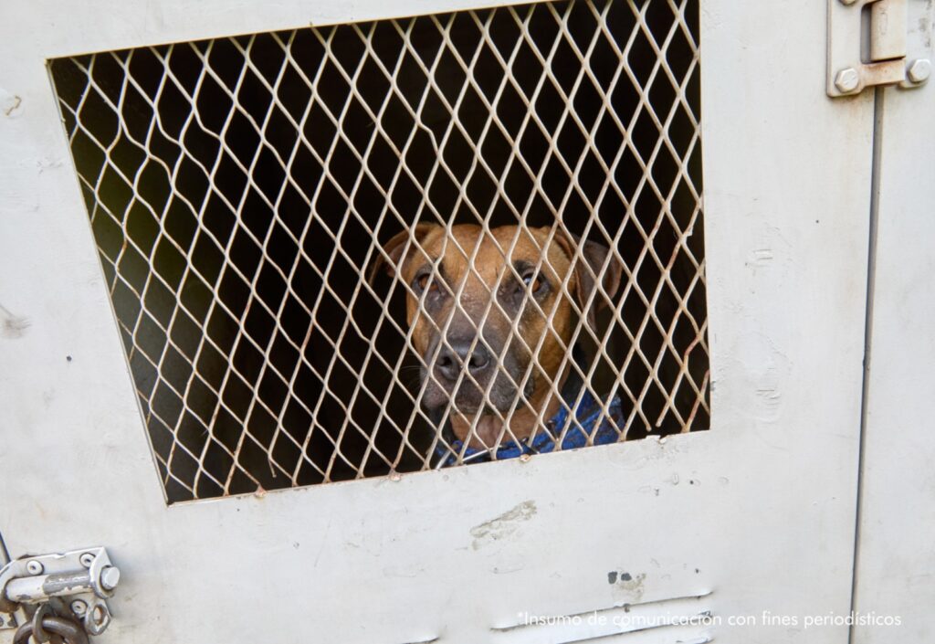 Agentes de la Policía Nacional de Colombia y el CTI de la Fiscalía llevan a cabo un allanamiento y múltiples capturas en una vivienda rústica. Varias personas detenidas, agentes armados presentes. Marca de agua de la Fiscalía General de la Nación.