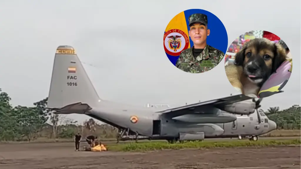 Composición fotográfica que muestra el avión Hércules accidentado de la Fuerza Aérea Colombiana (FAC 1016) en una pista de Puerto Leguízamo, Putumayo, con restos y personal de rescate. En la esquina superior derecha, se superponen dos círculos: uno con el retrato del soldado Omar Salazar Páez en uniforme, con la bandera de Colombia de fondo, y otro con el retrato de su perro Odi, el cachorro que le salvó la vida al impedirle abordar el vuelo siniestrado.