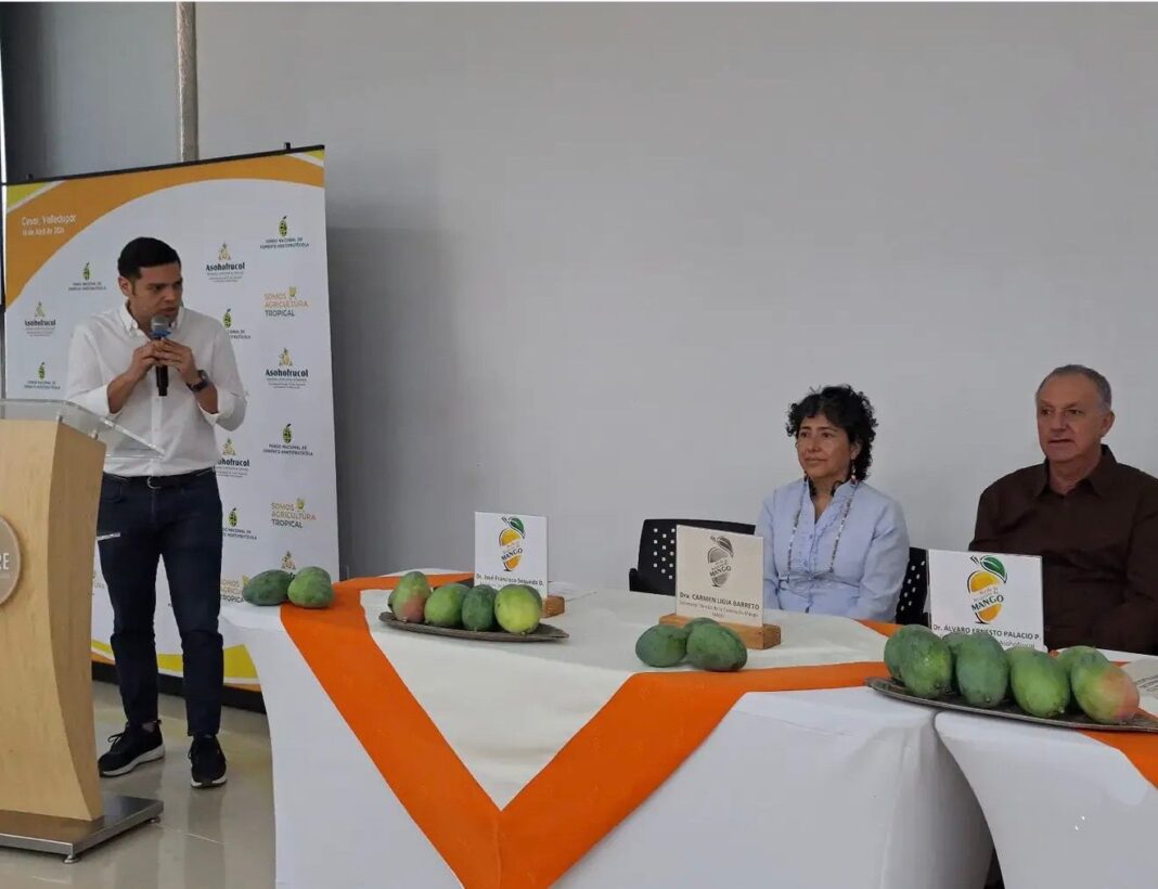 Rueda de negocios sobre exportación de mango del Cesar y falta de planta empacadora para llegar a Europa