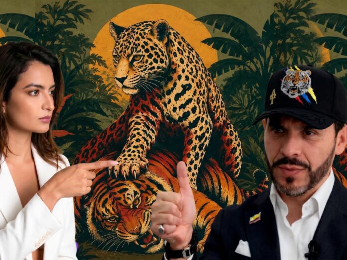 Montaje digital que muestra a Andrea Petro señalando una ilustración de un jaguar sobre un tigre junto al precandidato presidencial Abelardo de la Espriella.