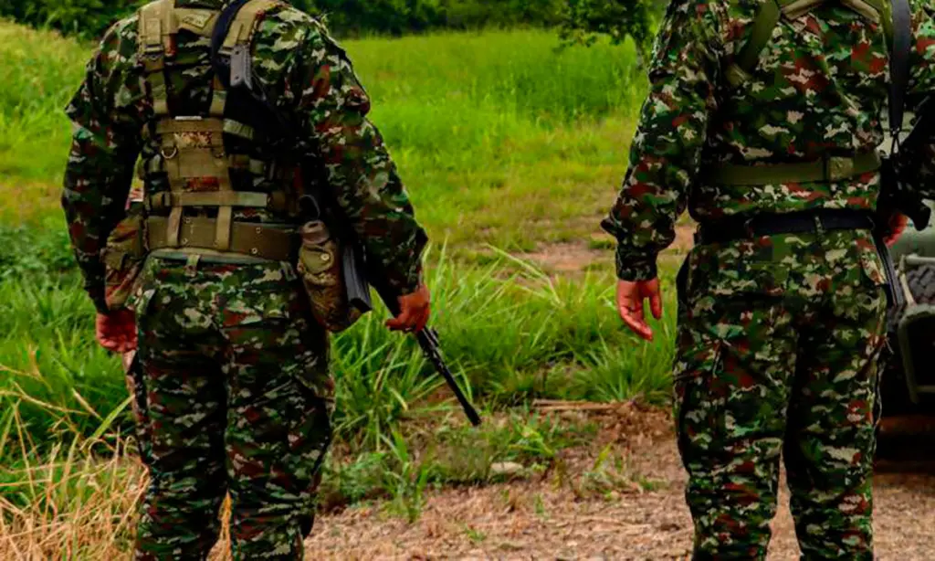 Dos soldados del Ejército Nacional de Colombia de espaldas portando uniformes camuflados en una zona rural.