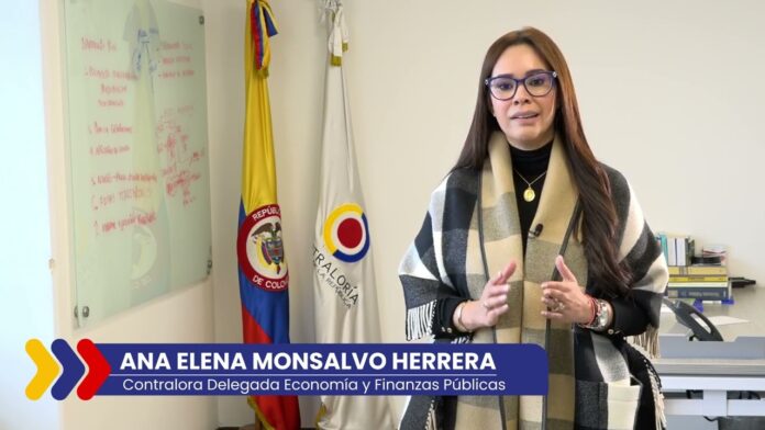 Ana Elena Monsalvo Herrera, Contralora Delegada para Economía y Finanzas Públicas, hablando desde su oficina.