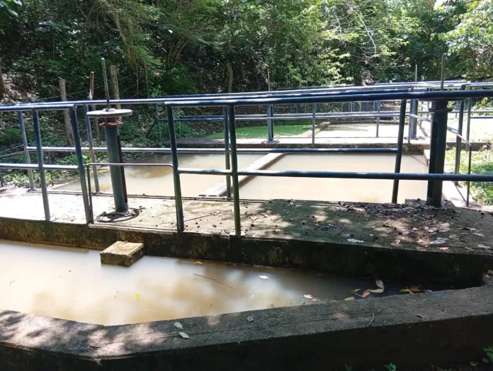 Imagen de protesta ciudadana en Valledupar denunciando la grave crisis de servicios públicos, cortes de luz de más de 12 horas y falta de agua potable, exigiendo soluciones a Emdupar y Afinia.