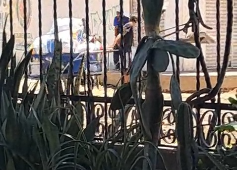 Los vecinos grabaron a este carretillero que, según los vecinos, lleva basura para depositarla en el sitio, que está siendo limpiado por Aseo del Norte