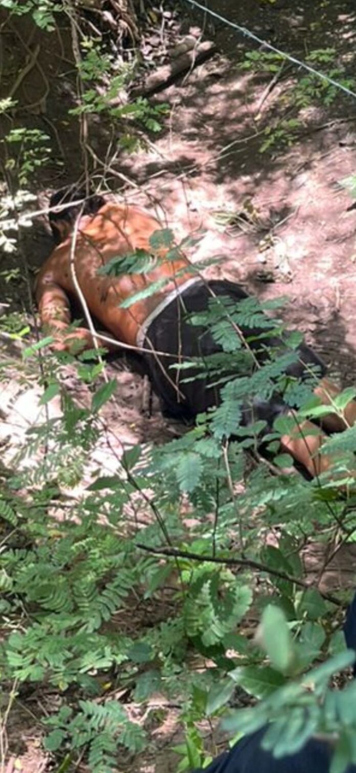 Lugar donde fue hallado el cuerpo de Jaime Luis Torres Gómez en una zona boscosa del municipio de San Diego, Cesar.