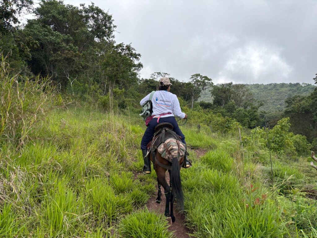 Integrante de una misión humanitaria recorre a caballo una zona rural durante la búsqueda de personas desaparecidas en La Guajira.