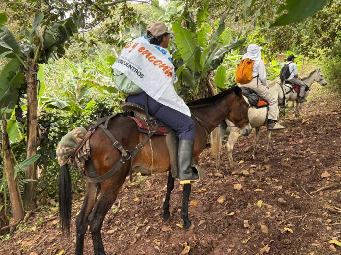 Equipo de búsqueda humanitaria recorre una zona rural a caballo durante labores de localización de personas desaparecidas en La Guajira.