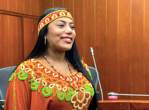 Senadora Martha Peralta durante una intervención pública en una sala institucional, vistiendo atuendo tradicional indígena.