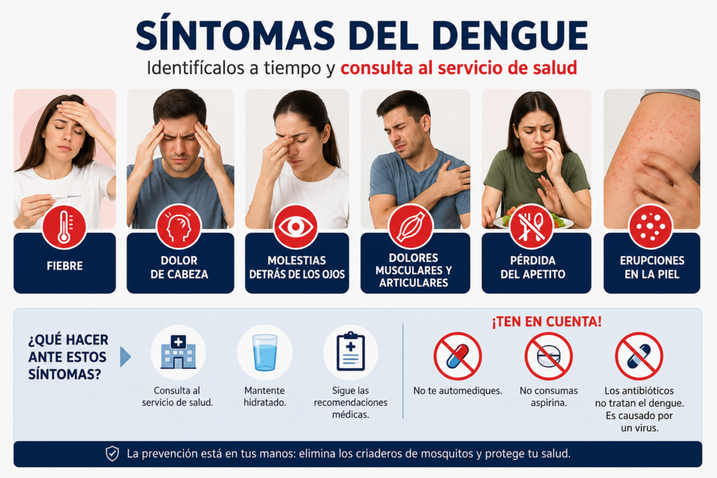 Infografía con los principales síntomas del dengue, como fiebre, dolor de cabeza, molestias en los ojos y dolores musculares.