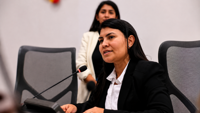 Karen Manrique interviene durante una sesión de la Cámara de Representantes antes de la decisión sobre su posesión virtual.