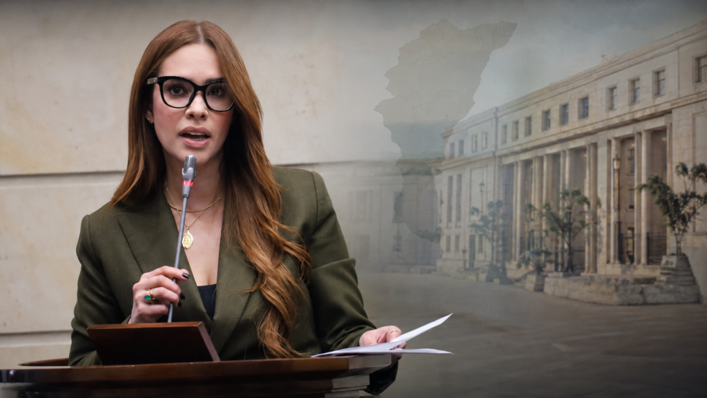 Ana Monsalvo a la Contraloría durante su exposición ante el Congreso