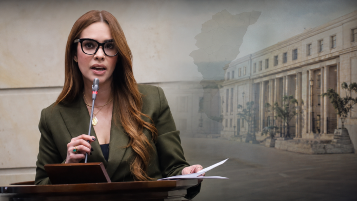 Ana Monsalvo a la Contraloría durante su exposición ante el Congreso