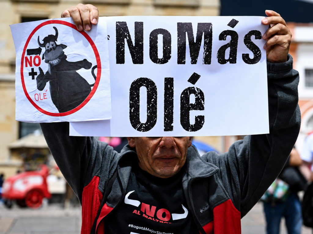 Manifestante sostiene un cartel de No Más Olé durante una protesta contra las corridas de toros en Colombia.
