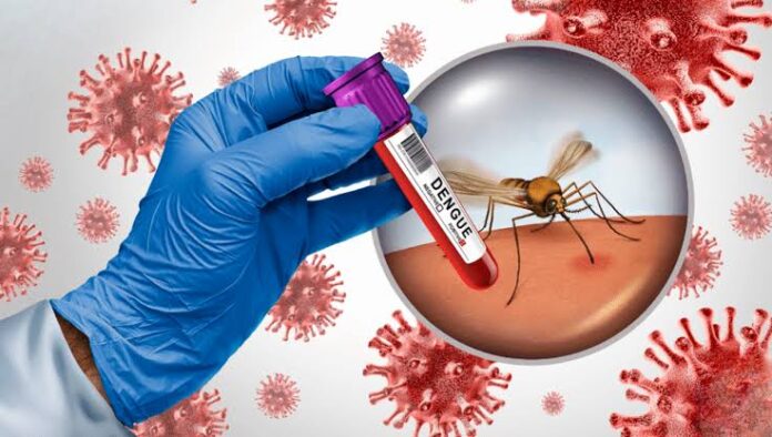 Profesional sostiene una muestra de sangre para diagnóstico del dengue junto a la imagen de un mosquito transmisor.