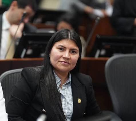 Karen Manrique durante una sesión en la Cámara de Representantes