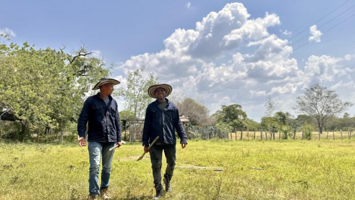 Firmantes de paz participan en labores de recuperación del bosque seco tropical en zona rural de El Paso, Cesar.