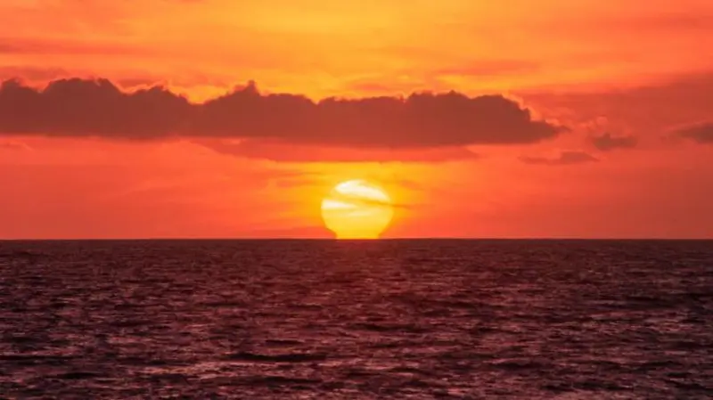 Océanos alcanzan temperatura récord mundial en agosto de 2026