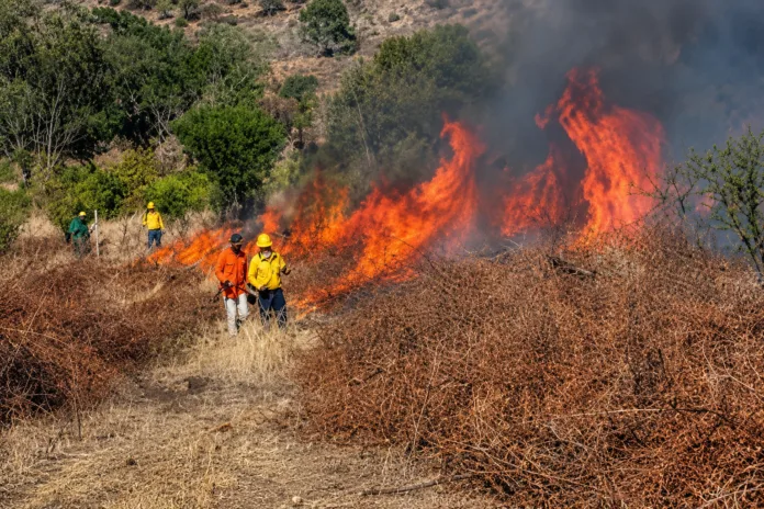 Bomberos combaten incendios forestales en el Cesar en zonas de la Serranía del Perijá