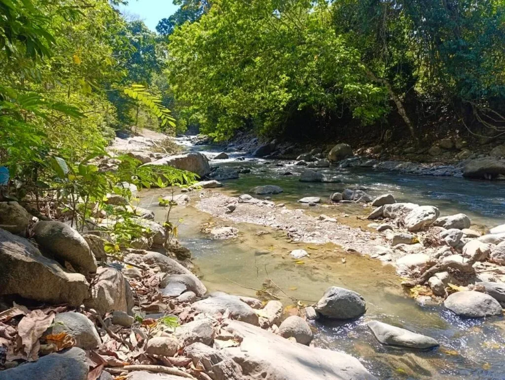 Bajo caudal en río del Cesar durante temporada de seguimiento hídrico en 2026