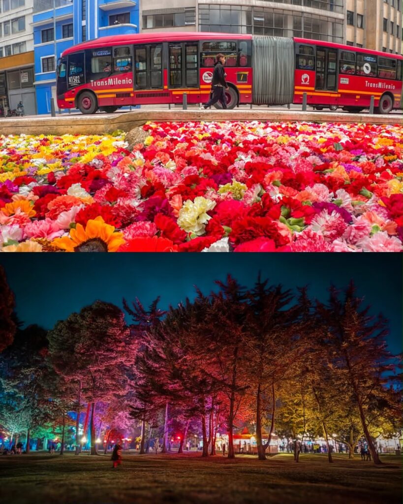 Bus de TransMilenio junto a un jardín de flores y parque iluminado en Bogotá durante la conmemoración de los 488 años de la capital.
