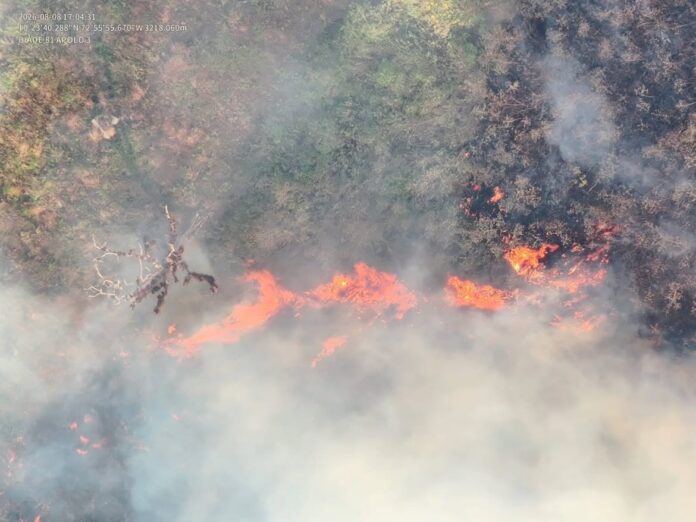 Incendio en la Serranía del Perijá con llamas y una densa columna de humo en zona montañosa de Manaure, Cesar.