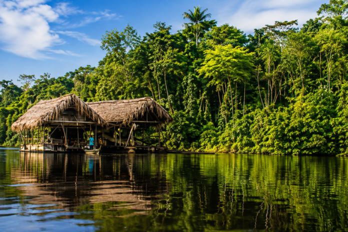 Amazonia colombiana declarada reserva para proteger sus recursos naturales y frenar nuevos contratos mineros y petroleros.
