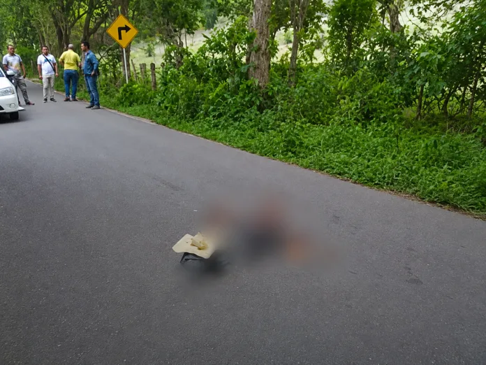 Escena acordonada en una vía rural de El Copey donde fue hallado el cuerpo de Moisés David De León Viloria.
