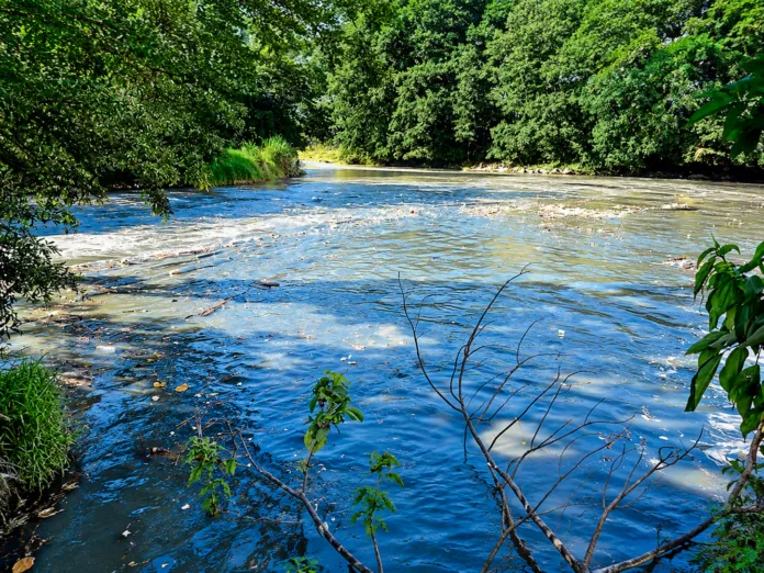 Contaminación y residuos en el agua, uno de los retos para la recuperación del río Cesar