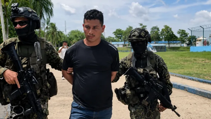 Captura de alias Danilo del Clan del Golfo en Sucre