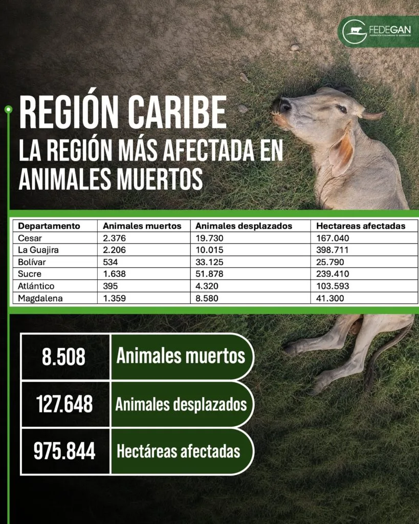 Fedegán reporta 2.376 animales muertos en el Cesar por efectos asociados a El Niño
