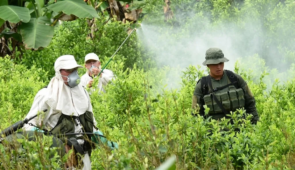Personal realiza labores de erradicación de cultivos ilícitos en una zona rural de Colombia
