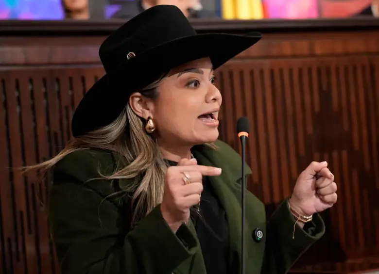 Lina María Garrido, nueva directora de la ANT, durante una intervención pública