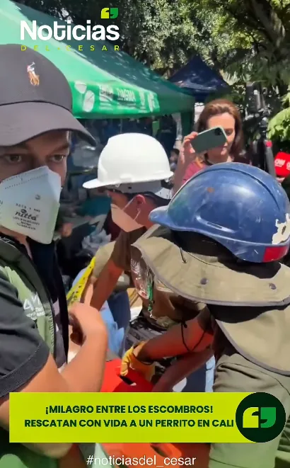 Perrito rescatado con vida en Cali entre los escombros