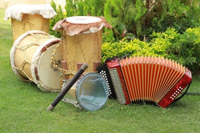 Acordeón, caja y guacharaca, instrumentos tradicionales del vallenato
