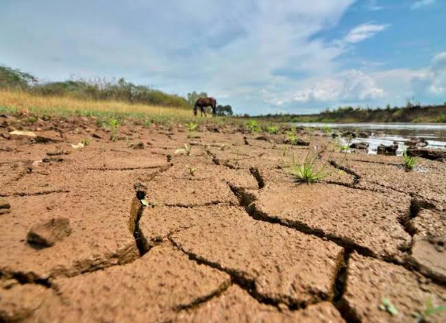 Suelo agrietado por la sequía causada por el fenómeno de El Niño en una zona afectada por la falta de lluvias.