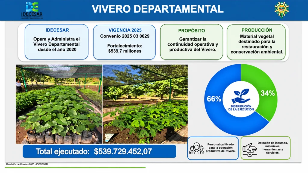 Balance del vivero departamental del Cesar en 2025: $539,7 millones ejecutados, con 66% para personal y 34% para insumos y servicios.