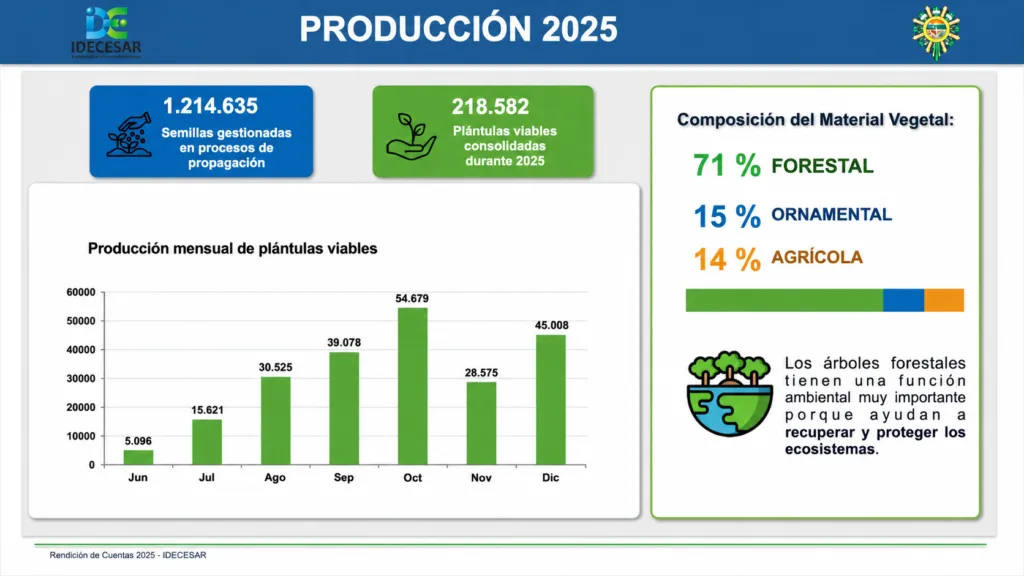 Producción del vivero del Cesar en 2025: 218.582 plántulas viables y composición forestal, ornamental y agrícola.