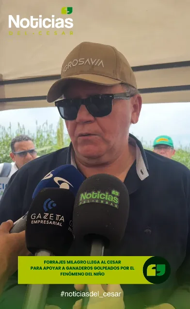 Forrajes Milagro en el Cesar apoyará a cerca de 9.000 ganaderos