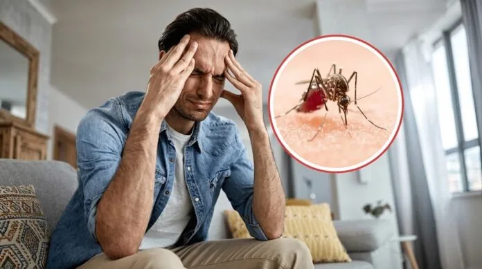 Dengue en el Cesar aumenta casos ante altas temperaturas y El Niño