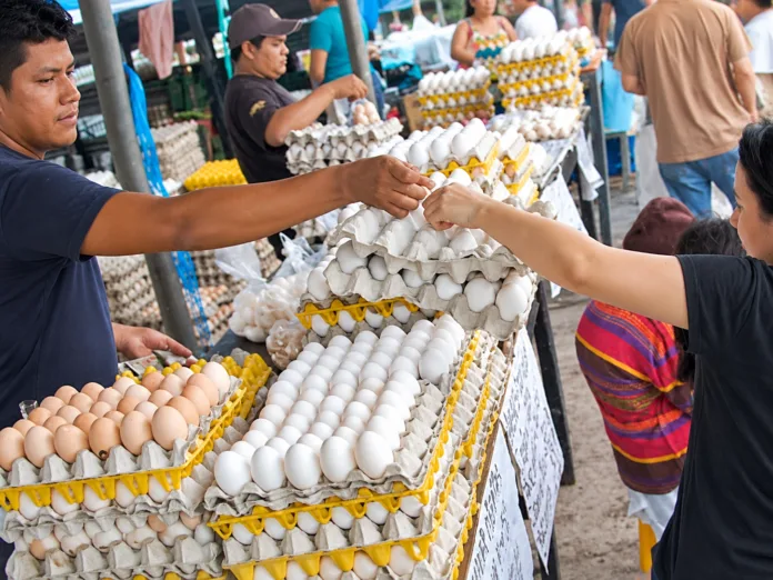 Venta de huevos en mercado, sector avícola de Valledupar y Cesar