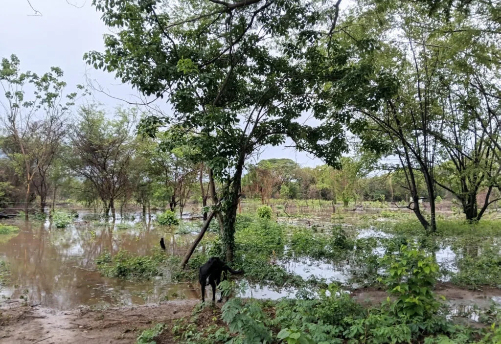 Predio rural inundado en Aguas Blancas, Valledupar, donde familias campesinas reportan afectaciones en cultivos por las lluvias.