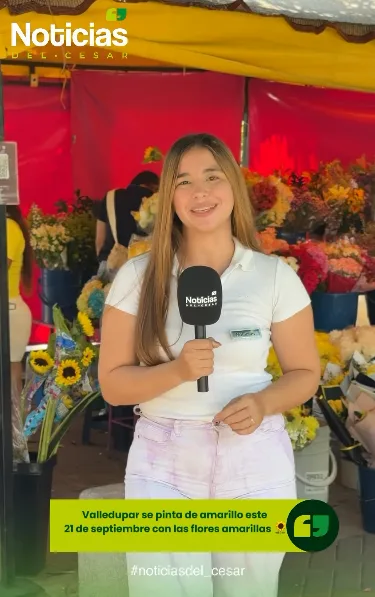 Periodista de Noticias del Cesar en una floristería por la tradición de flores amarillas en Valledupar