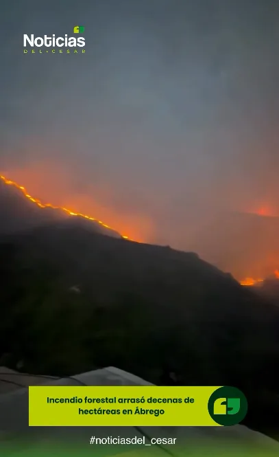 Incendio forestal en Ábrego consume hectáreas en Monte Redondo