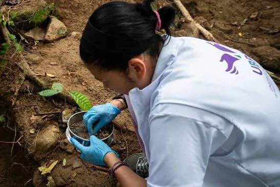 Especialista realiza labores forenses durante una búsqueda de personas desaparecidas en la región Caribe.